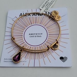 Alex and Ani February Birthstone Amethest bracelet